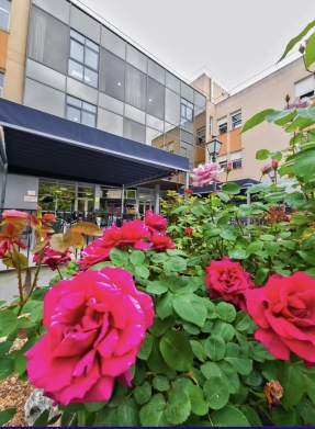 Centro de mayores Vitalia Leganés
